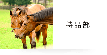 特品部